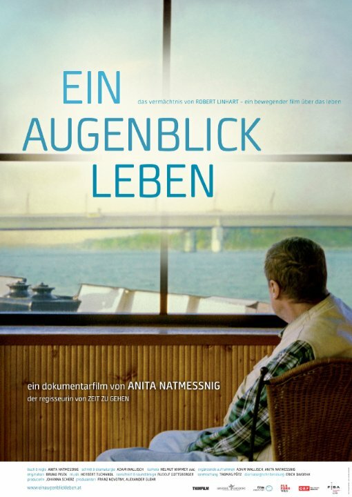 Ein Augenblick Leben (2014) постер