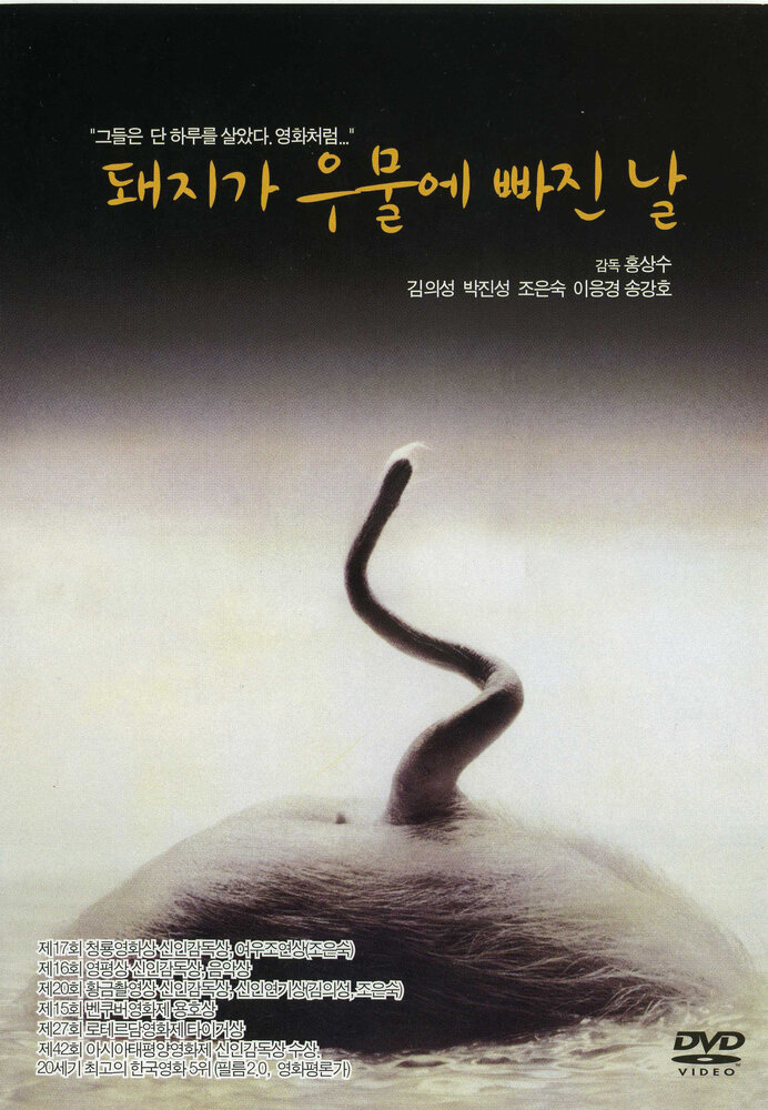 День, когда свинья упала в колодец (1996) постер