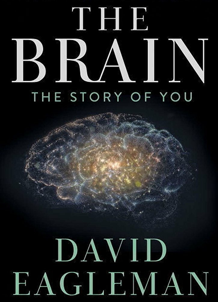 Мозг с Дэвидом Иглменом (2015) постер