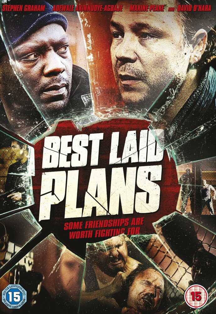 Лучшие планы (2012) постер