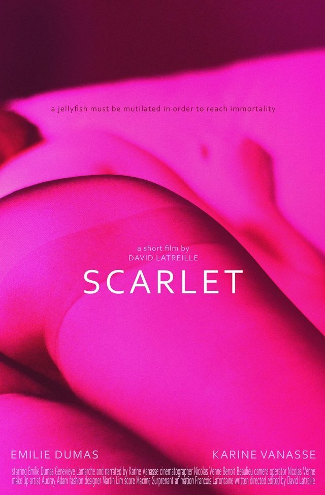 Скарлет (2013) постер