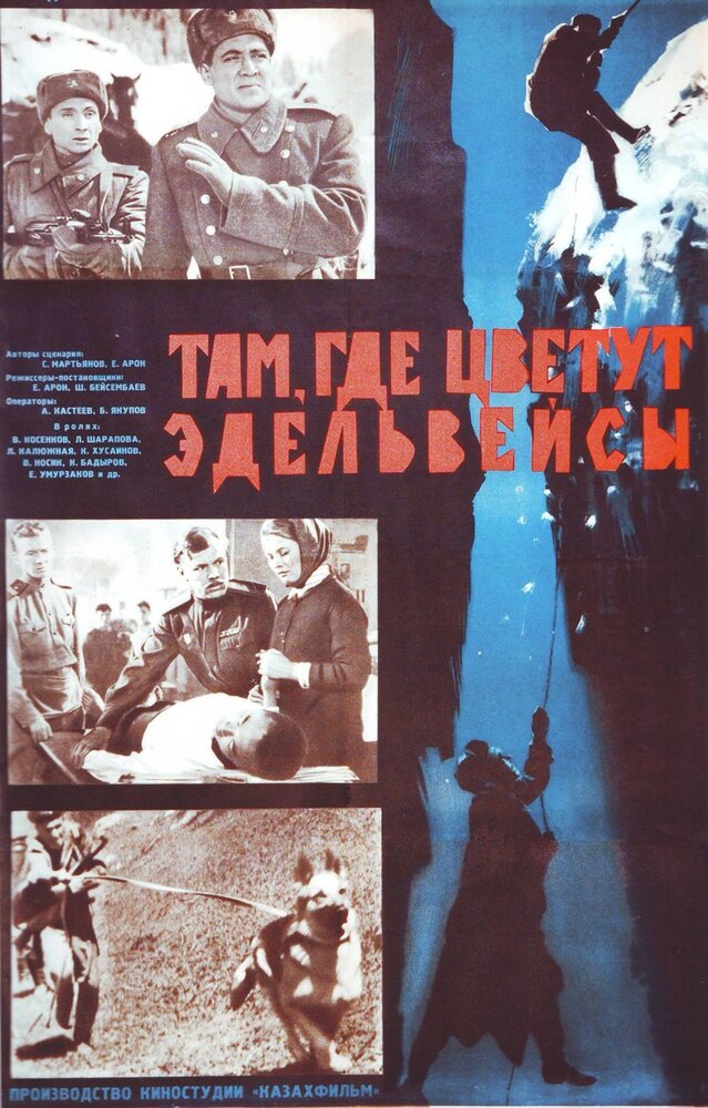 Там, где цветут эдельвейсы (1965) постер