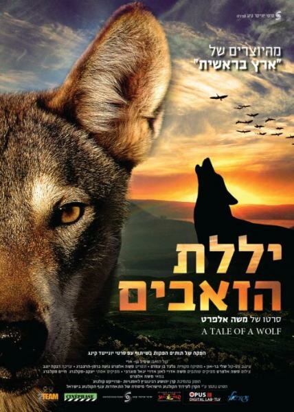 Рассказ о волке (2013) постер