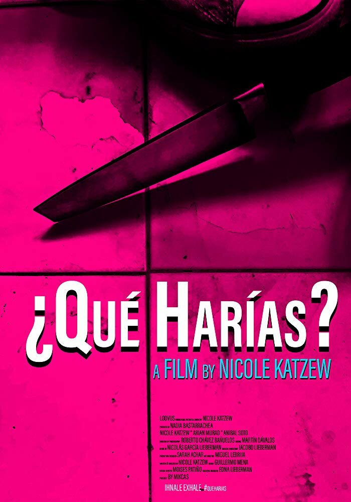 ¿Qué Harías? (2019) постер