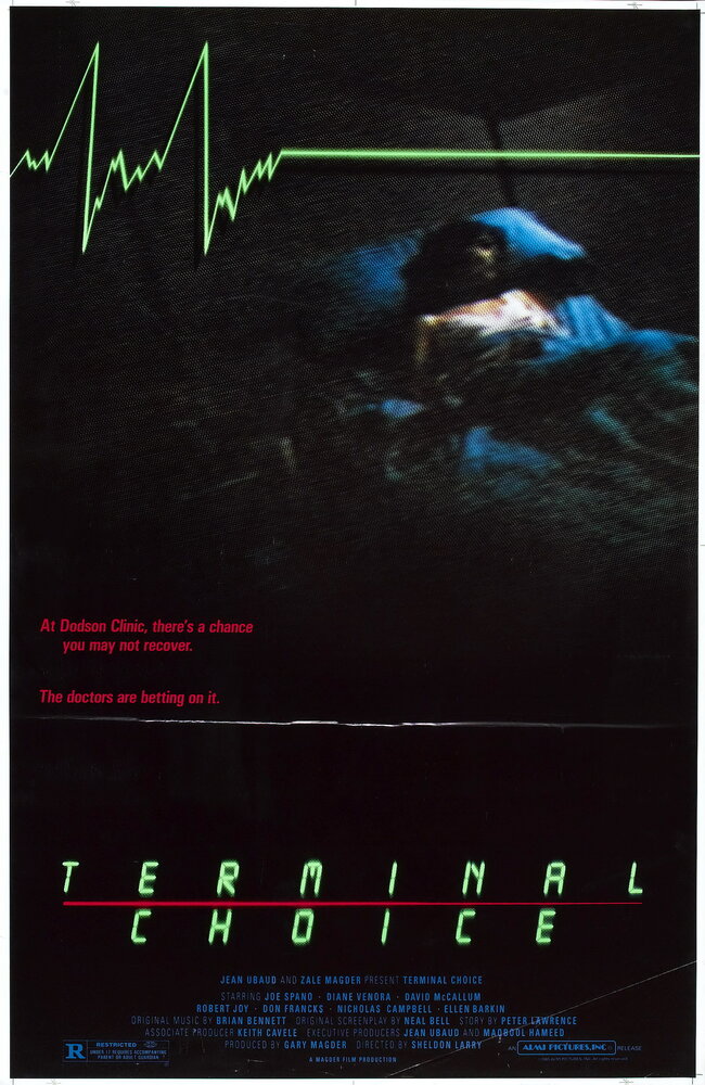 Последний выбор (1985) постер